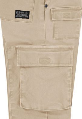 Штани карго Levi's для хлопчика Бежевий 176 см (16 лет) (222 pvu beige)