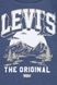 Комплект Levi's 2в1 свитшот на флисе и джинсы для мальчиков детский Серо-синий (312 set pvu indigo (74 (9m))
