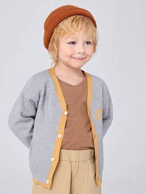 Кардиган для мальчика SHEIN Серый (JIT7302476 grey (92 см (2 года))