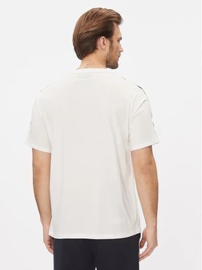 Футболка чоловіча Tommy Hilfiger Regular Fit Молочний (UM0UM03005 white lav25 (L))