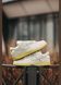 Кросівки Nike SB Dunk Low Mummy жіночі No brend Пудровий (b635-1 powder (39 (25 см))