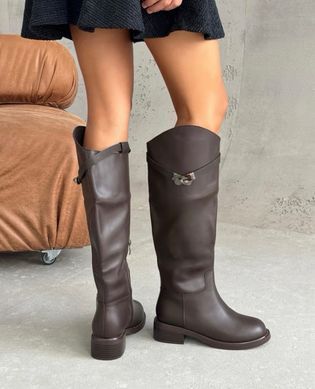Зимние сапоги, жокейки женские Meideli Коричневый (A92 brown (39 (25 см))