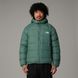 Мужская пуховая куртка The North Face Hydrenalite Down Jacket Зеленый S Код: NF0A5GIECH Duck Green