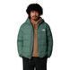 Мужская пуховая куртка The North Face Hydrenalite Down Jacket Зеленый S Код: NF0A5GIECH Duck Green